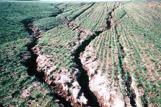 Image result for soil erosion