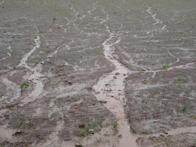An eroding rill on agricultural land in County Tyrone, Ireland. Photo: Donal Mullan