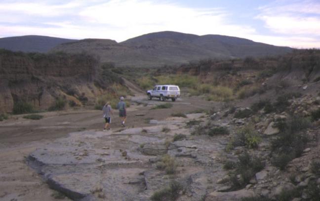 A gully in the Karoo area of South Africa. Photo: John Boardman